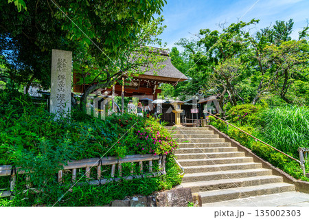 【東京都】新緑が美しい調布市の深大寺 【東京都】新緑が美しい調布市の深大寺 135002303