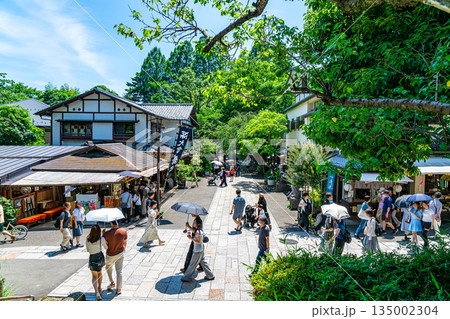 【東京都】新緑が美しい調布市の深大寺 135002304