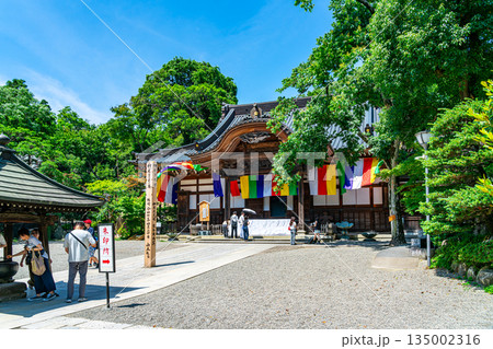 【東京都】新緑が美しい調布市の深大寺 【東京都】新緑が美しい調布市の深大寺 135002316