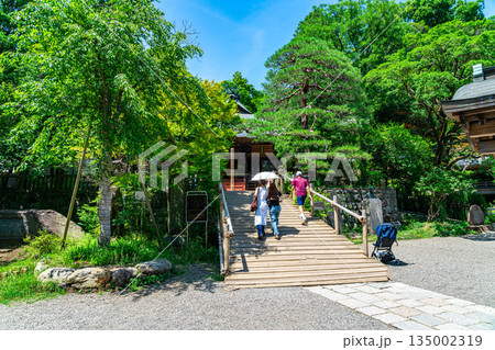 【東京都】新緑が美しい調布市の深大寺 【東京都】新緑が美しい調布市の深大寺 135002319