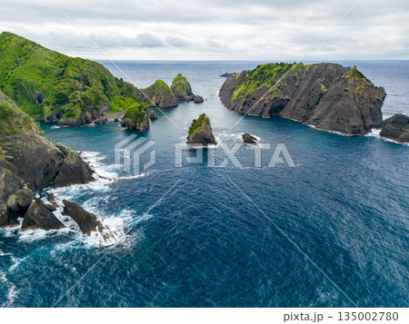 ヒリゾ浜のドローン撮影。大根島、あいあい岬、数々の地磯も見える。ヒリゾ浜南伊豆町中木 静岡県伊豆半島 135002780