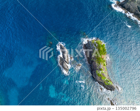 ヒリゾ浜のドローン撮影。大根島、あいあい岬、数々の地磯も見える。ヒリゾ浜南伊豆町中木 静岡県伊豆半島 ヒリゾ浜のドローン撮影。大根島、あいあい岬、数々の地磯も見える。ヒリゾ浜南伊豆町中木 静岡県伊豆半島 135002796