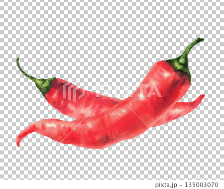 Red hot chili pepper watercolor realistic hand drawn illustration. Spice ingredient, chili or cayenne condiment. Spicy vegetables for food label, sauces, menu, recipe. Isolated from background clipart 135003070