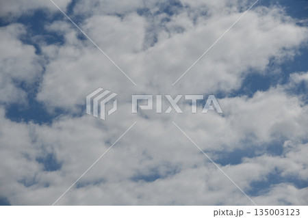 Soft cloud sky, white cloud, blue sky, fluffy cloud, calm weather, peaceful scene float overhead 135003123