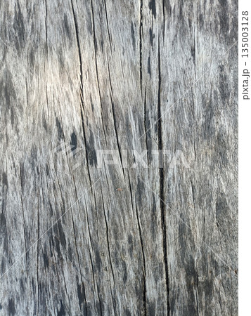 Wood texture old wood rustic wood rough wood weathered wood natural pattern aged timber surface with rustic wood grain detail Wood texture old wood rustic wood rough wood weathered wood natural pattern aged timber surface with rustic wood grain detail 135003128