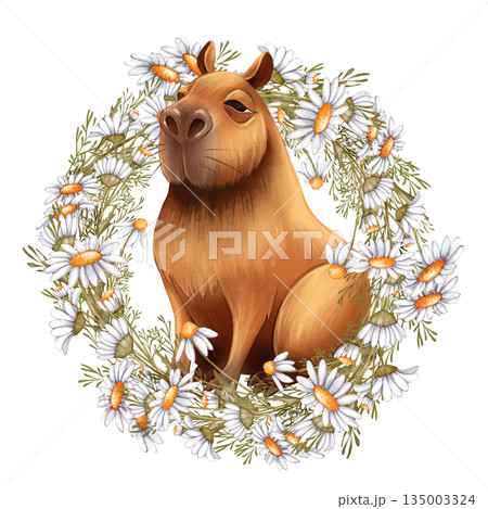 Hand drawn Capybara in Daisy Flower Wreath 135003324