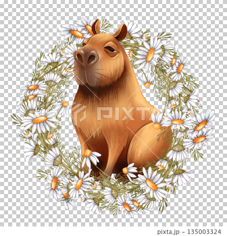Hand drawn Capybara in Daisy Flower Wreath 135003324