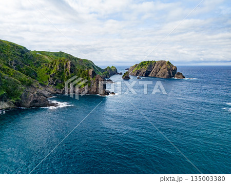 ヒリゾ浜のドローン撮影。大根島、あいあい岬、数々の地磯も見える。ヒリゾ浜南伊豆町中木 静岡県伊豆半島 135003380