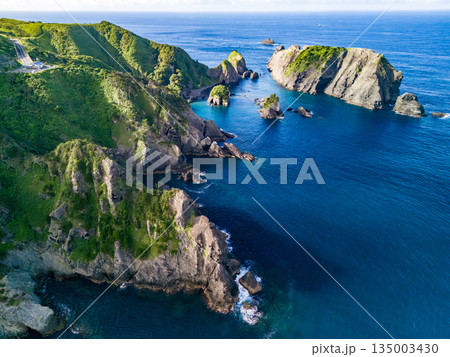 ヒリゾ浜のドローン撮影。大根島、あいあい岬、数々の地磯も見える。ヒリゾ浜南伊豆町中木 静岡県伊豆半島 135003430