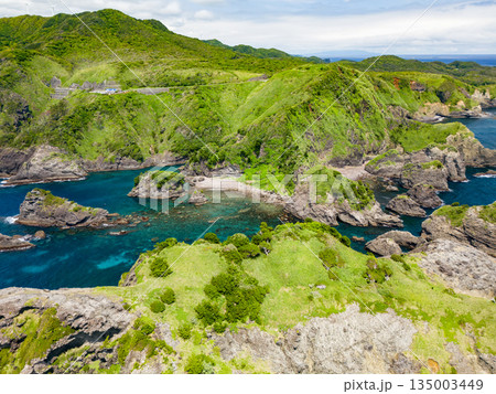 ヒリゾ浜のドローン撮影。大根島、あいあい岬、数々の地磯も見える。ヒリゾ浜南伊豆町中木 静岡県伊豆半島 135003449