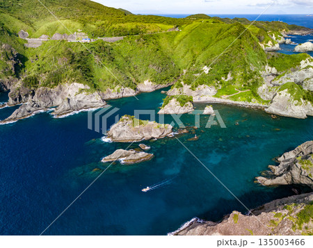 ヒリゾ浜のドローン撮影。大根島、あいあい岬、数々の地磯も見える。ヒリゾ浜南伊豆町中木 静岡県伊豆半島 135003466