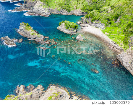 ヒリゾ浜のドローン撮影。大根島、あいあい岬、数々の地磯も見える。ヒリゾ浜南伊豆町中木 静岡県伊豆半島 ヒリゾ浜のドローン撮影。大根島、あいあい岬、数々の地磯も見える。ヒリゾ浜南伊豆町中木 静岡県伊豆半島 135003579