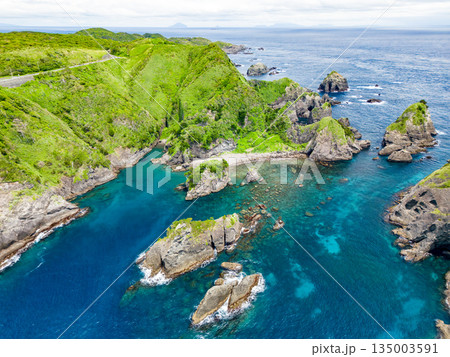 ヒリゾ浜のドローン撮影。大根島、あいあい岬、数々の地磯も見える。ヒリゾ浜南伊豆町中木 静岡県伊豆半島 135003591