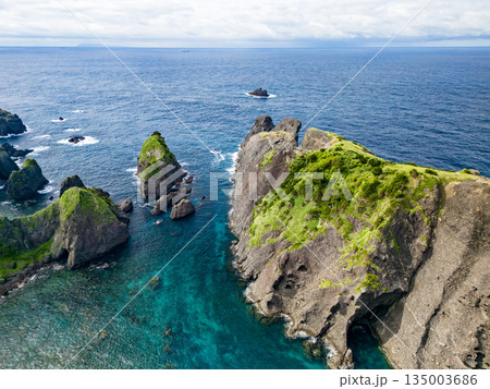 ヒリゾ浜のドローン撮影。大根島、あいあい岬、数々の地磯も見える。ヒリゾ浜南伊豆町中木 静岡県伊豆半島 135003686