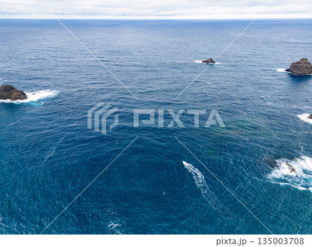ヒリゾ浜のドローン撮影。大根島、あいあい岬、数々の地磯も見える。ヒリゾ浜南伊豆町中木 静岡県伊豆半島 135003708