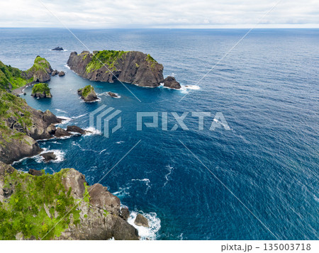 ヒリゾ浜のドローン撮影。大根島、あいあい岬、数々の地磯も見える。ヒリゾ浜南伊豆町中木 静岡県伊豆半島 ヒリゾ浜のドローン撮影。大根島、あいあい岬、数々の地磯も見える。ヒリゾ浜南伊豆町中木 静岡県伊豆半島 135003718