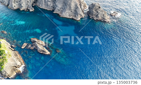 ヒリゾ浜のドローン撮影。大根島、あいあい岬、数々の地磯も見える。ヒリゾ浜南伊豆町中木 静岡県伊豆半島 135003736