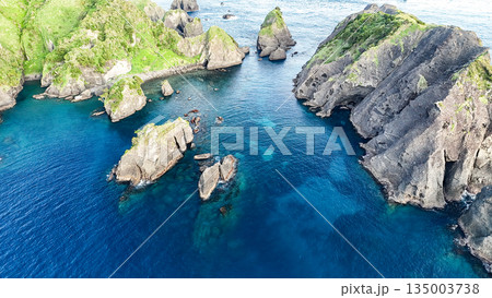 ヒリゾ浜のドローン撮影。大根島、あいあい岬、数々の地磯も見える。ヒリゾ浜南伊豆町中木 静岡県伊豆半島 135003738