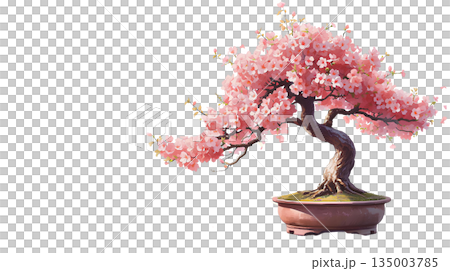 櫻花盆景插圖(PNG格式) 櫻花盆景插圖(PNG格式) 135003785