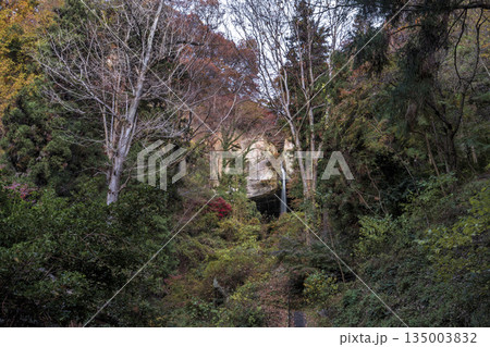 棚下不動の滝 135003832