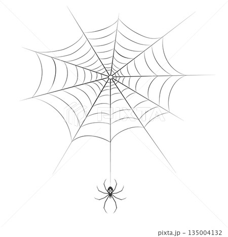 Spider in the web icon 135004132