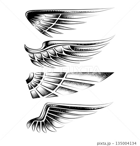 Tattoo wing design element set 135004134