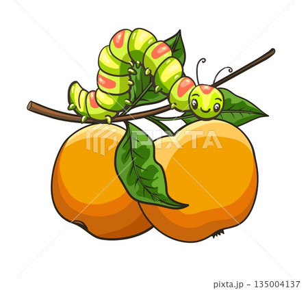 Cartoon caterpillar on apple tree 135004137