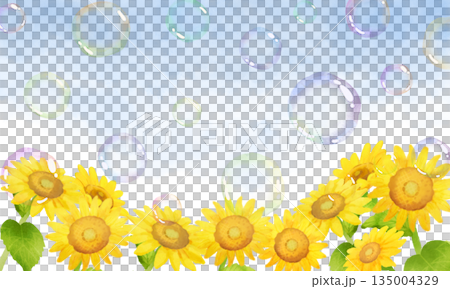 ひまわりとシャボン玉が飛んでいる背景 ひまわりとシャボン玉が飛んでいる背景 135004329