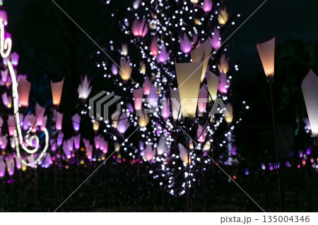 冬の夜のイルミネーション 135004346