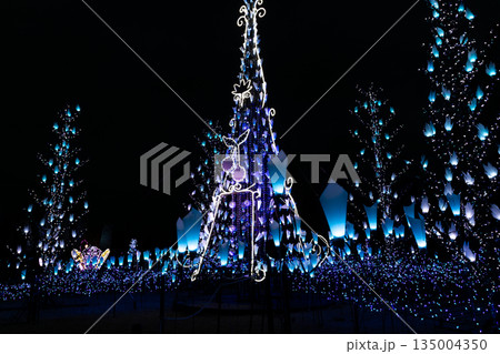 冬の夜のイルミネーション 冬の夜のイルミネーション 135004350