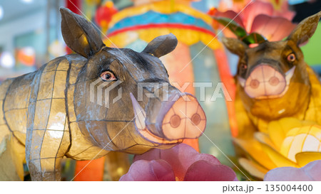 カラフルな猪 カラフルな猪 135004400