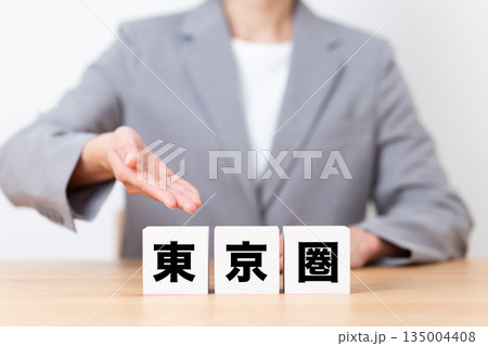 東京圏のブロックとスーツを着たミドル女性ビジネスウーマン 135004408