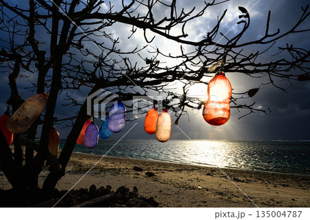 カラフルな浮きが吊るされた木　沖縄の風景　備瀬の浜 135004787