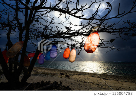 カラフルな浮きが吊るされた木　沖縄の風景　備瀬の浜 135004788
