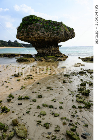 磯の海岸 沖縄の風景 ニライビーチ 磯の海岸 沖縄の風景 ニライビーチ 135004795