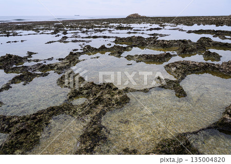 磯の海岸　沖縄の風景 135004820
