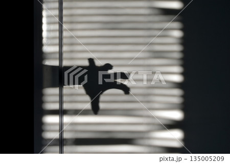 A play of light and shadow. The silhouette of a hand against a window. A play of light and shadow. The silhouette of a hand against a window. 135005209