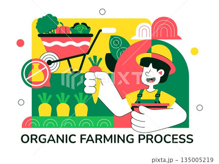 Organic Farming Process Vector Illustration Showing Sustainable Agriculture, Eco Friendly Cultivation Methods, and Natural Food Production Background 135005219