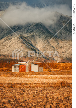 朝を迎えた安曇野【北安曇郡池田町】 朝を迎えた安曇野【北安曇郡池田町】 135005257