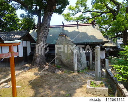 広島県尾道市　艮神社の拝殿に隣接して岩塊に注連縄が巻かれている様子 135005321