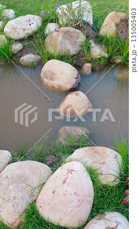 broken egg in grass broken egg in grass 135005403