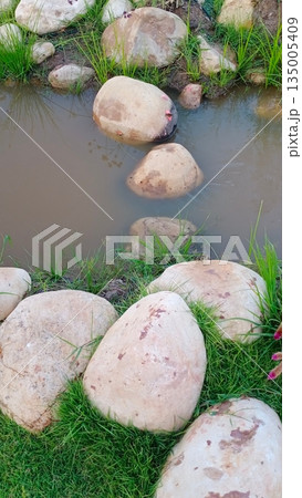 broken egg in grass 135005409