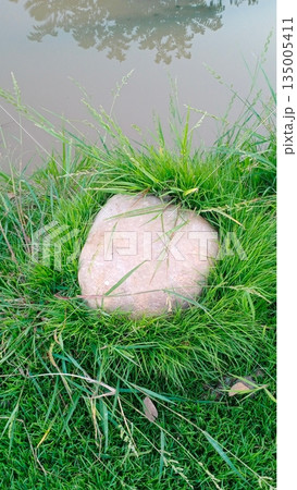 broken egg in grass broken egg in grass 135005411