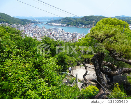 尾道　千光寺周辺の景色（広島県尾道市） 135005430