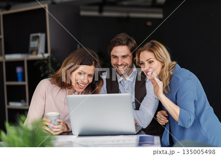 Business colleagues sharing screen during video call. Business colleagues sharing screen during video call. 135005498
