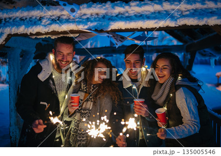 New Year celebration with friends in mountain cabin. New Year celebration with friends in mountain cabin. 135005546