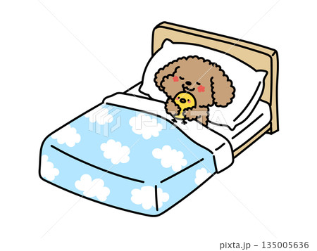 ベッドで眠るかわいい動物達のイラスト プードルバージョン ベッドで眠るかわいい動物達のイラスト プードルバージョン 135005636