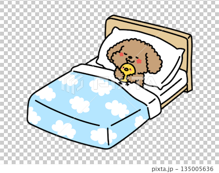 ベッドで眠るかわいい動物達のイラスト プードルバージョン ベッドで眠るかわいい動物達のイラスト プードルバージョン 135005636