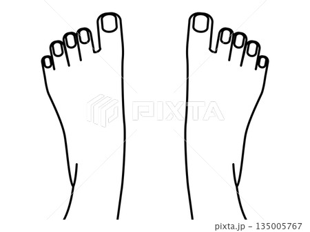 ネイルケアやフットマッサージをイメージした足の指・スキンケア・皮膚科の解説・フットケア・美容用 ネイルケアやフットマッサージをイメージした足の指・スキンケア・皮膚科の解説・フットケア・美容用 135005767