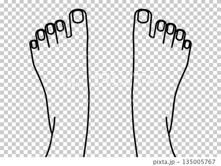 ネイルケアやフットマッサージをイメージした足の指・スキンケア・皮膚科の解説・フットケア・美容用 ネイルケアやフットマッサージをイメージした足の指・スキンケア・皮膚科の解説・フットケア・美容用 135005767